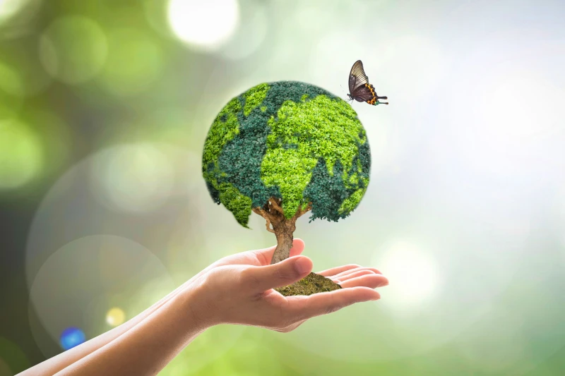 Yeşil Enerji ile Üretim